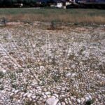Calades, Pavages ecoleavignon